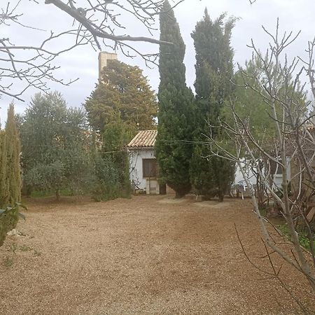 Casa Junto Al Parque Natural De Las Bardenas Sádaba Exterior foto